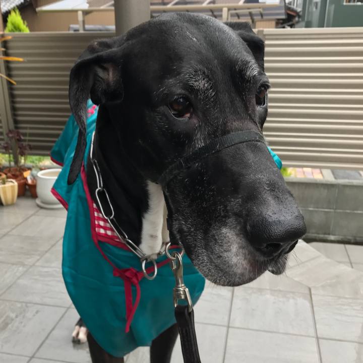 7929bf6b 57f9 4b8e 9db7 d1546a038924