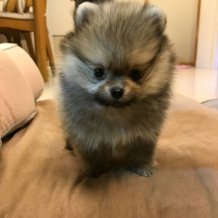 7929f98f 8ce0 49c8 a7ea 09764e8f9341