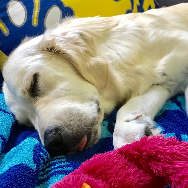 792a1ad7 341b 4c1e 8147 bbcb27c7d654