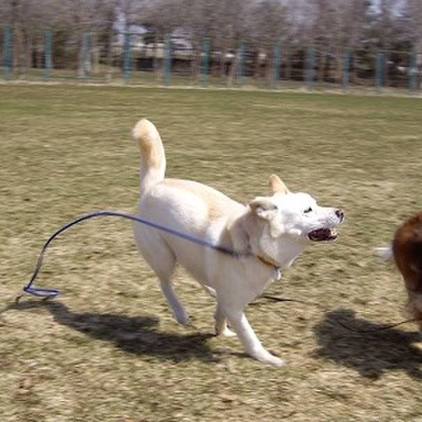 792a6c05 5b53 4960 9116 26ab68c5ebc7