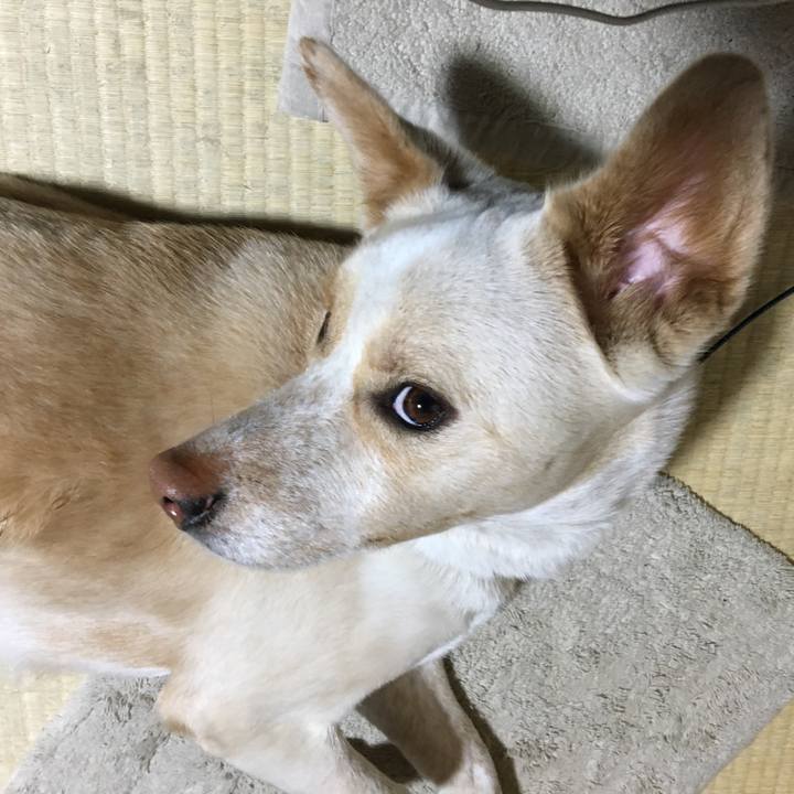 792b4a39 205b 4921 9d86 dd91b017c93e