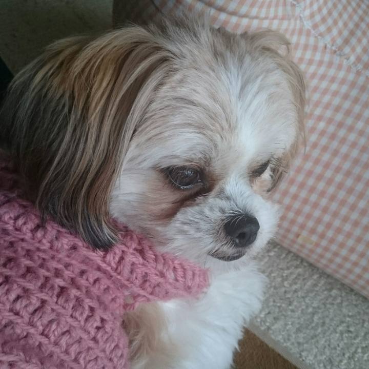 792b4e8c 35b1 4f99 b44f 98cdc65f1560