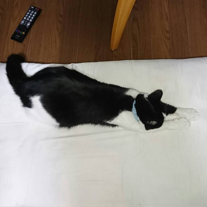 792c0da0 b549 4ba7 943e 9fe890966a3b