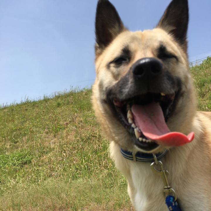 792c50be 62fc 43d2 9373 f14e63bc6a53