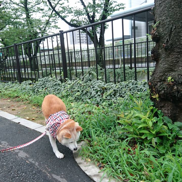 792d475d 305a 4c23 b304 39bbc6ac5d9f