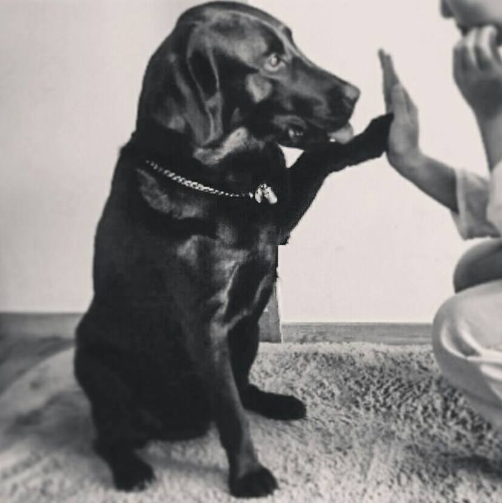 792d6730 5f25 4f33 8d7c 508fd836efa3