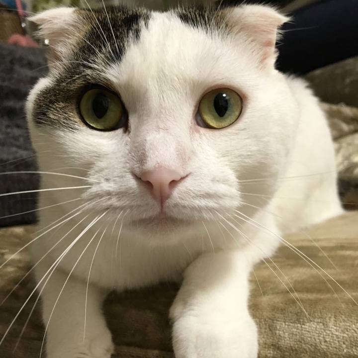 792dbdae 1a30 4f3b 8fd2 f74dac4d672e