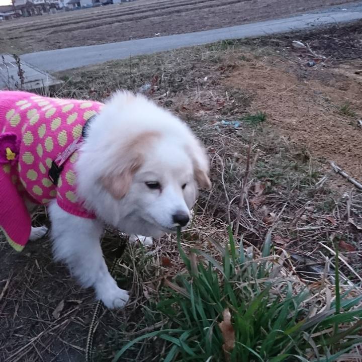 792dda50 438d 42d7 aed0 42427359c429