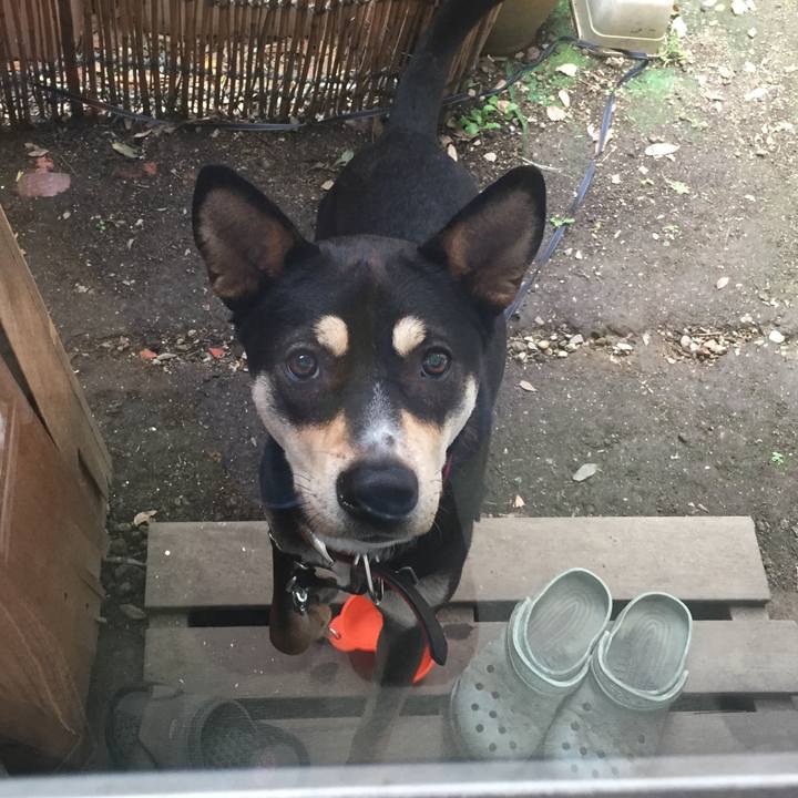 792e5da3 09a8 4670 8241 308b34cd6f42