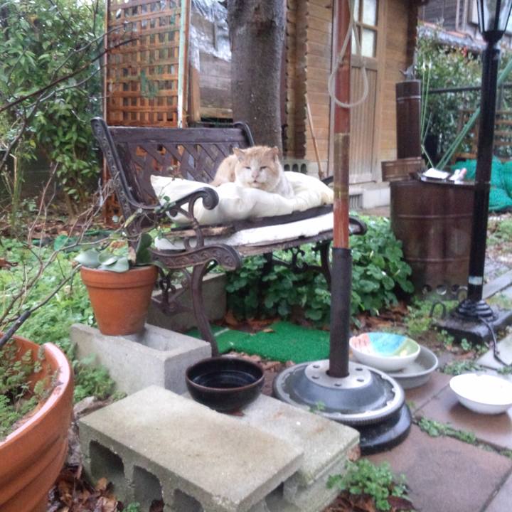 792ecd40 602c 4934 b7f7 921ed403036d