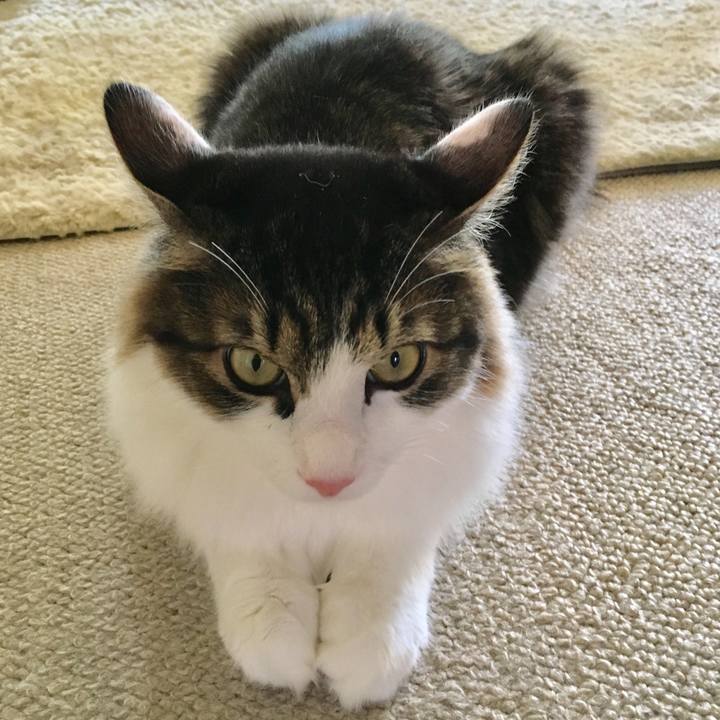 792ee69d c83e 4aea b4f6 0573624719ae