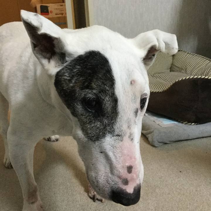 792f1dc0 24d2 4ad9 8413 b40775e472fa