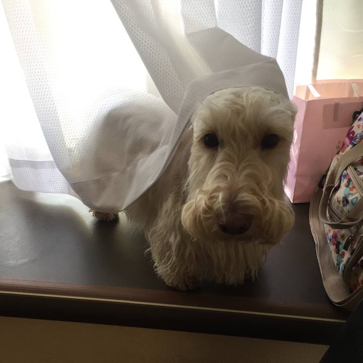 792f638a 0aa4 4fd8 b2d1 cd5f48c010f7