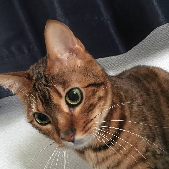 792fa604 3a77 49a8 8588 846f9cebe036