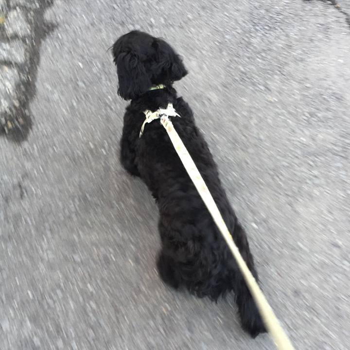 793052f6 c088 40f2 9642 355307c50925