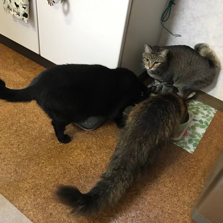 79316fcd 03f9 49ab b5cc ae8413b0b753