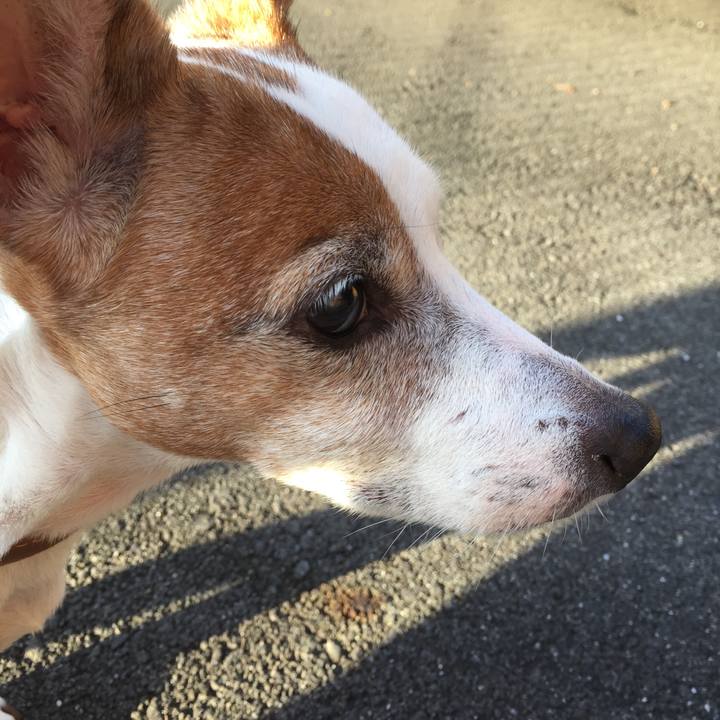 7931d643 c6cd 4e5d 8be2 c46891ba4b82