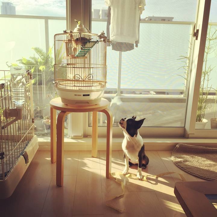 79324ff4 bbcd 4924 8a93 afac041fbf47