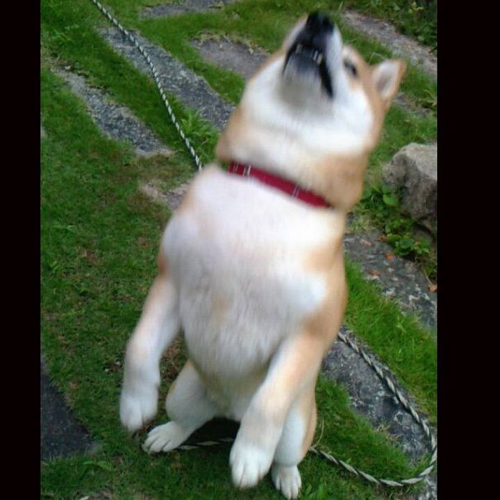 79328e40 1aff 4286 9541 06af2b6f2c86