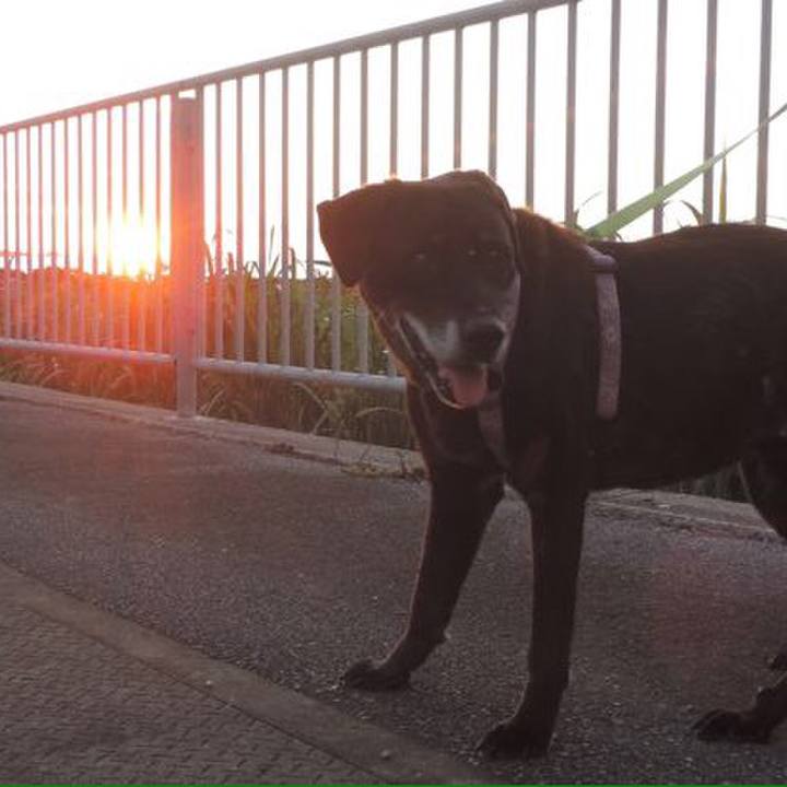 793365d6 d4db 405b 92ee bc069625bae1