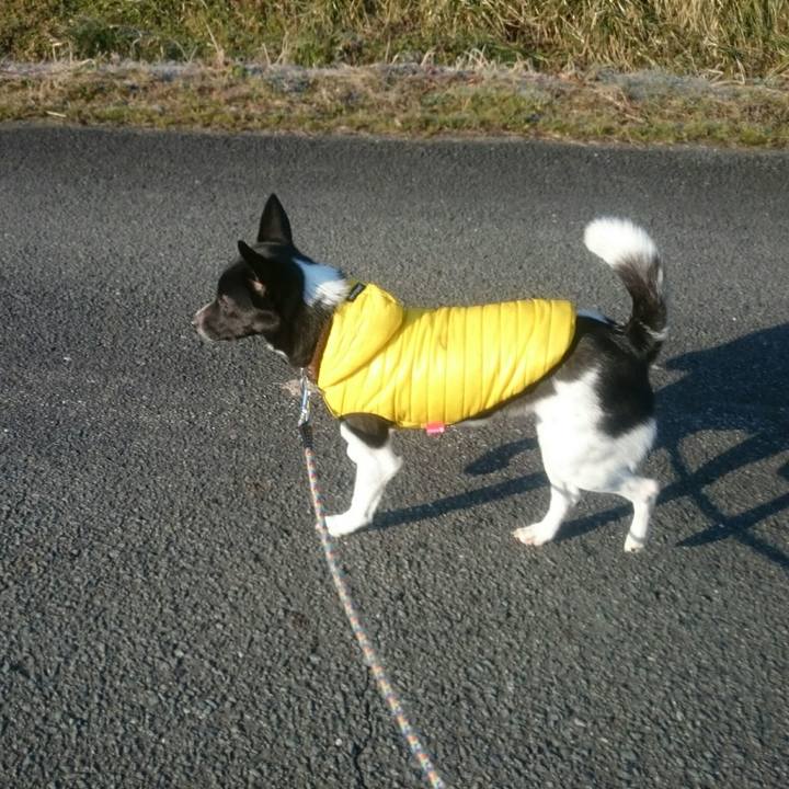 7933793b d670 4491 a7d6 f2ce5da506a2