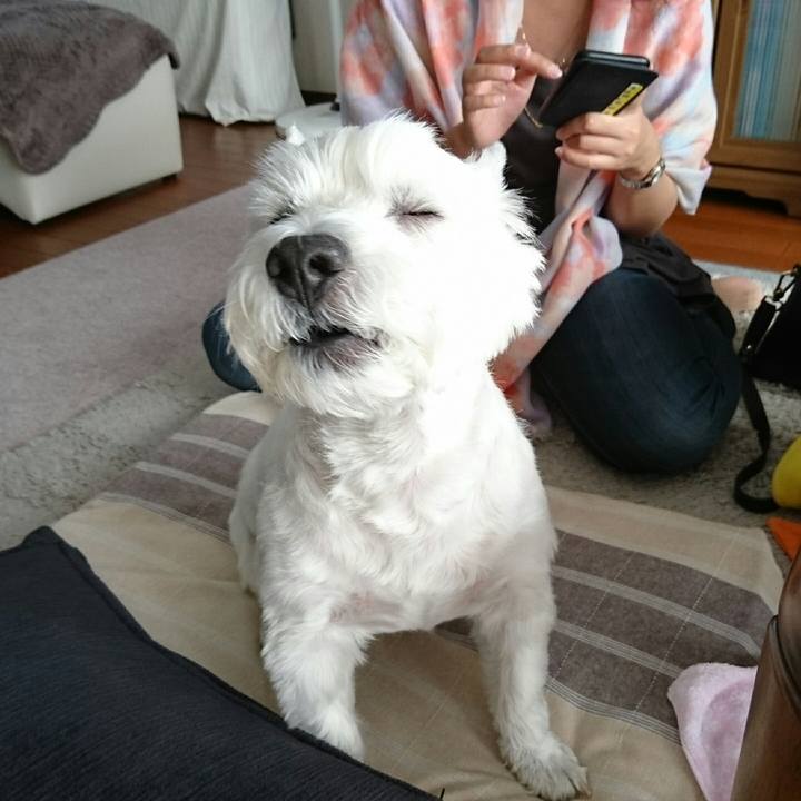 79342dd1 e2cb 4ae8 8863 9ea4a99b0261