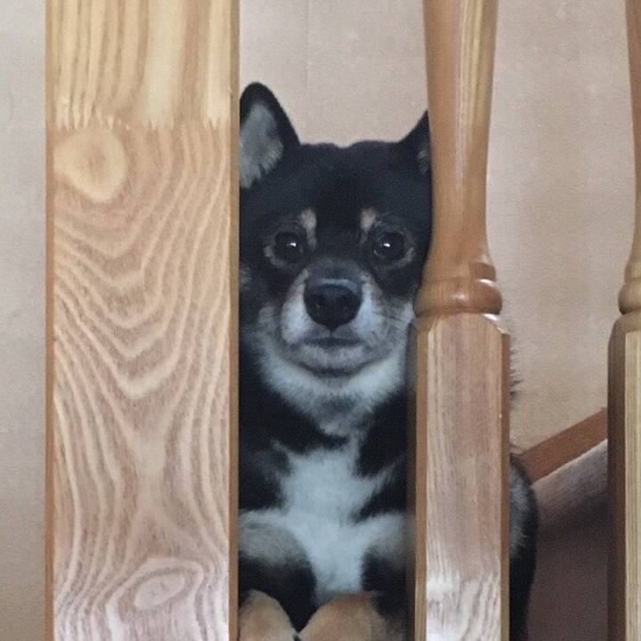 79343ff4 fbdf 46c2 869c 4b2f521d128d