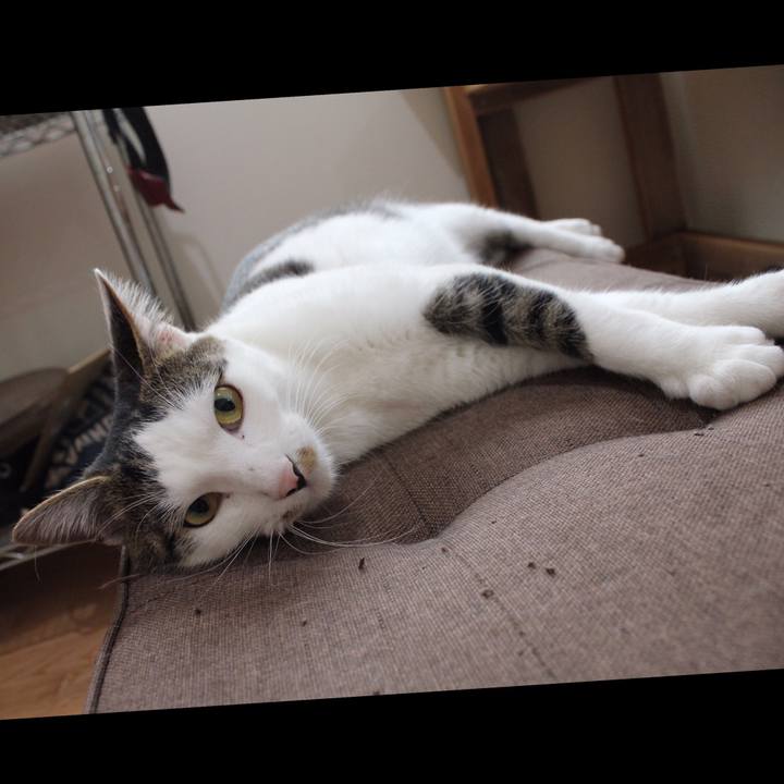 79346843 cc3b 4cba a5c0 51f8cdccf1d8