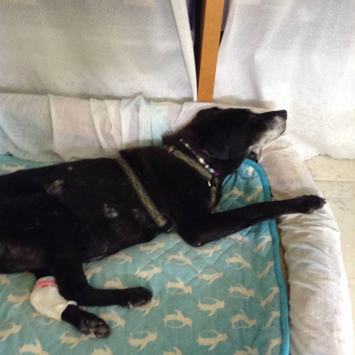 79347f49 d94e 4196 b3be 03b8ec65b8b2