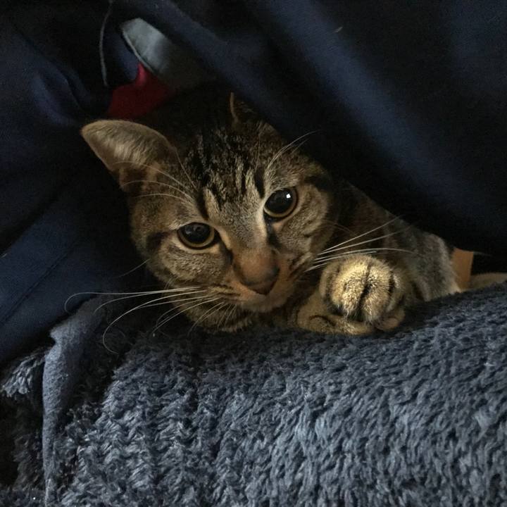 7934d22e 8b40 48c6 a4fd 33d687fa77c3