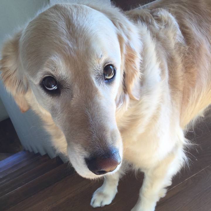 7935040a c85e 4d08 82c1 8882d32ca115