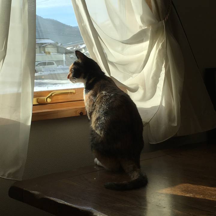 79359bb5 c03a 49c3 a7a1 9638e81ab43f