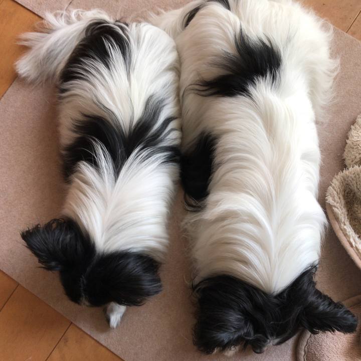 793617e6 21ea 44d5 aaa9 cca2eee8b3ed