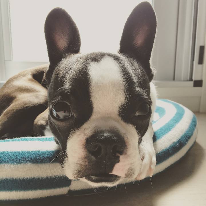 79364e0f df77 4e1d a6f6 1357b76ccdc4