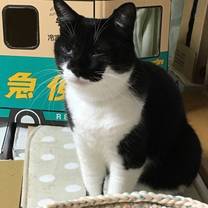 7936ac4c e53a 443e bedb 5133ef7d2ecd