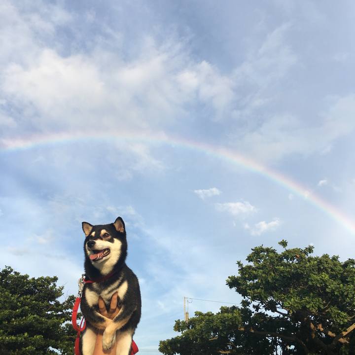 7936cefa 5646 4765 b7ad 636bb76543e6