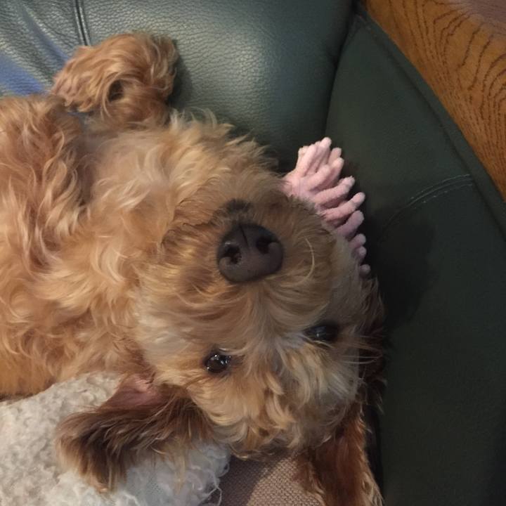 7936e5e0 d894 4834 a47b eb9868547e18