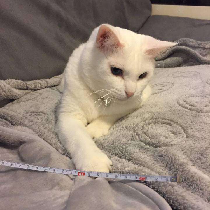 7936ed35 ed23 49c7 85b4 ecb6e4ede3be