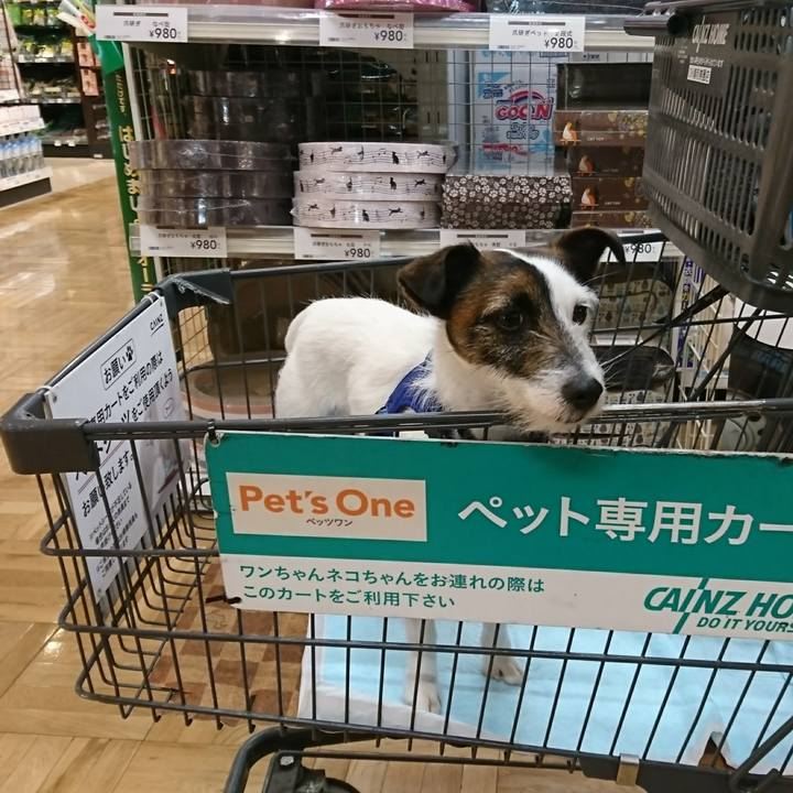 79376479 3bab 498e 987a cc3846b7b28d