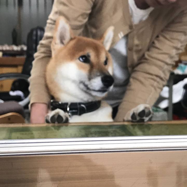 79387518 f876 4d78 8384 d49c6252bac5