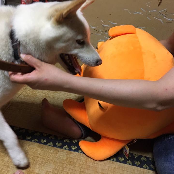 7938d660 90ce 4be7 886a 9f7c68597a78