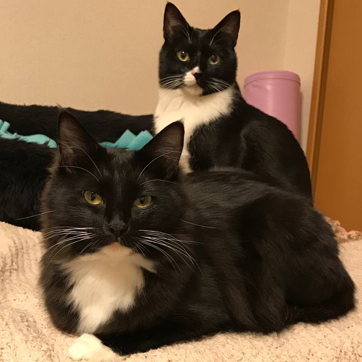 7938ec9a e393 4a63 8b76 792a7c05104a