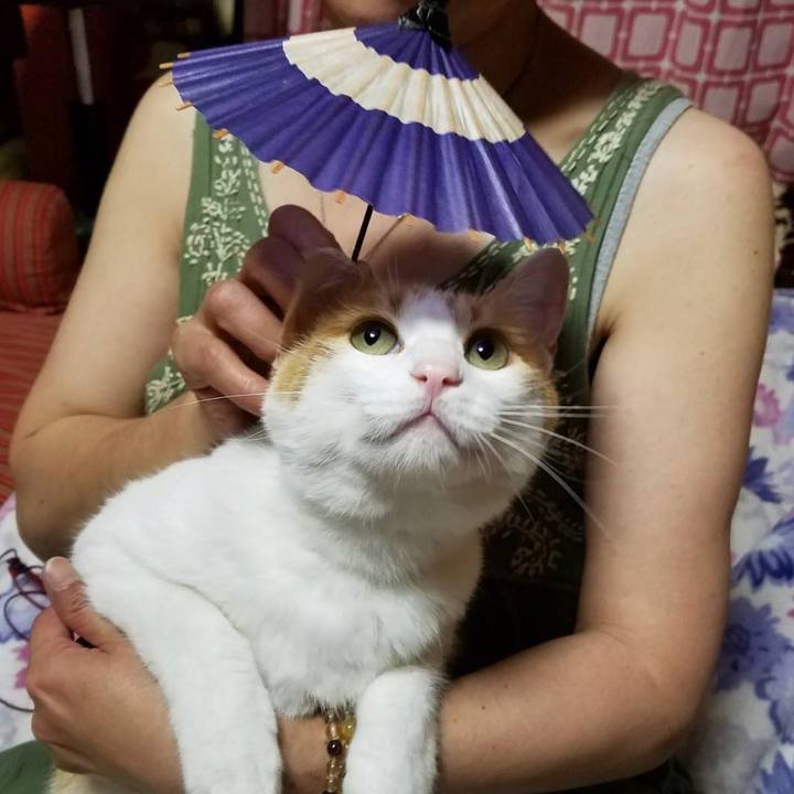 793a28b8 c395 42a5 86c2 b7423961cdee