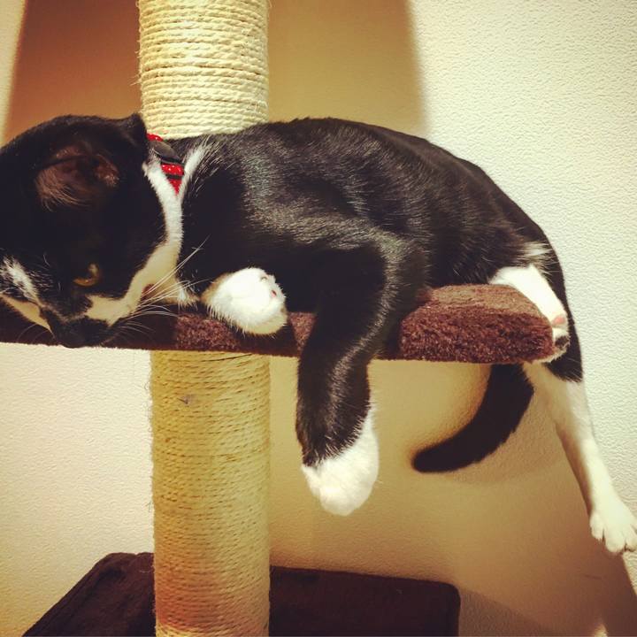 793acf6f 5d4e 4eac a810 cf09658a5e06