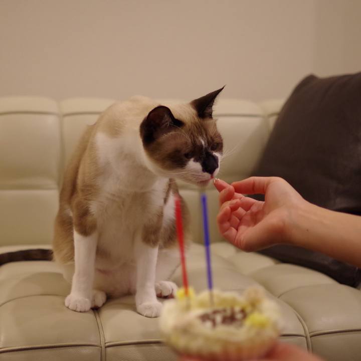 793b166b 9368 4b27 8c30 47d61a84cf98