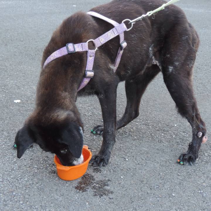 793b268b d457 40da ba4a 2fa690025b4c