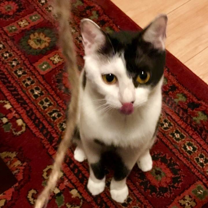 793bf1a2 db68 48e9 961f 5c34670b4762