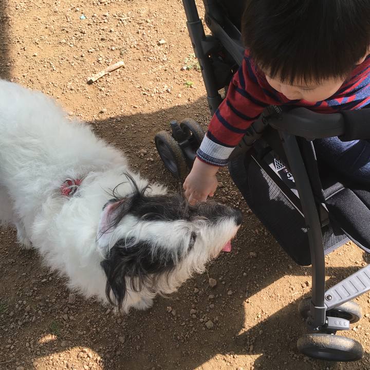 793c0486 961a 4b4d 880b 41623ac4a050