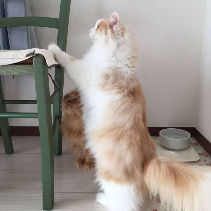 793ca449 9762 42dd 876a 217b62bdbf0e