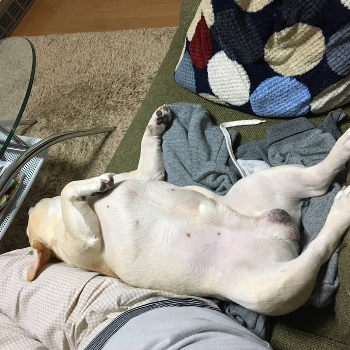 793cd913 d22f 4e8a 8807 a00610c23497